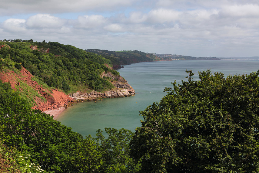 Babbacombe Downs and Walls Hill 