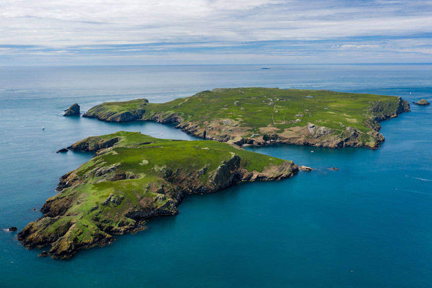 Skomer Island