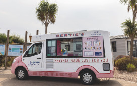 Bertie's ice cream