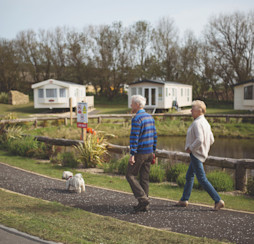 Dog-friendly facilities