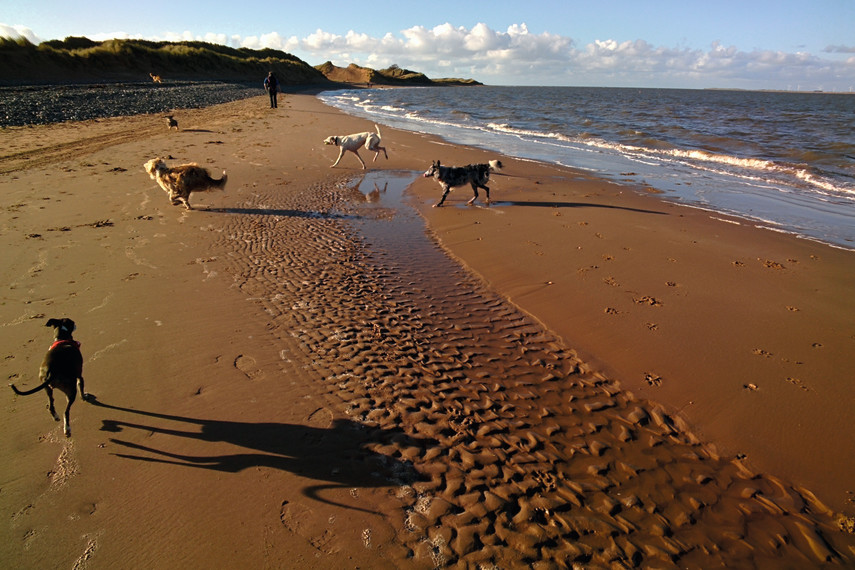 Roanhead Beach, Barrow-in-Furness