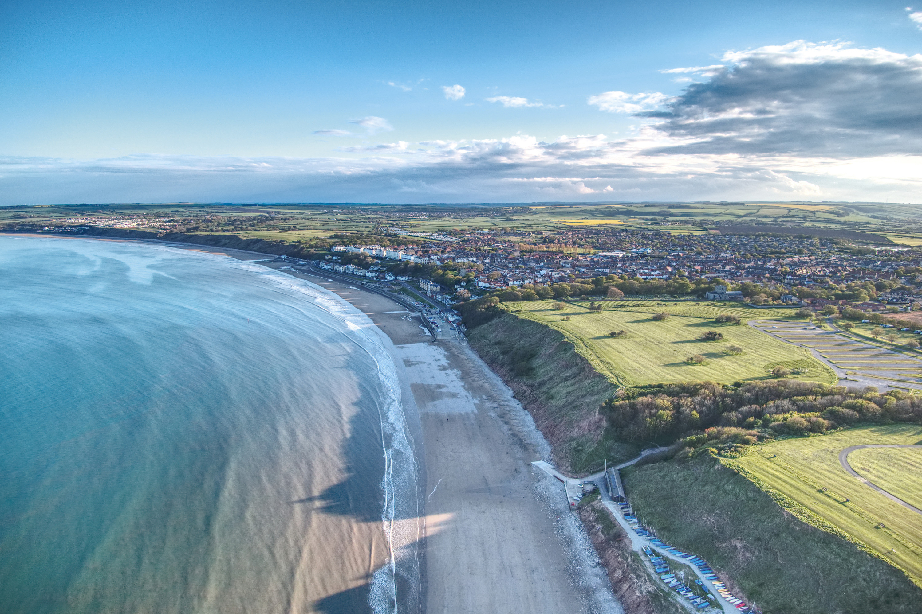 does filey beach allow dogs