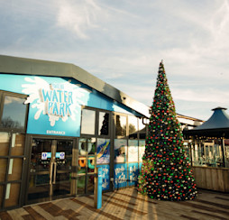 What's included in a Haven Festive Break?