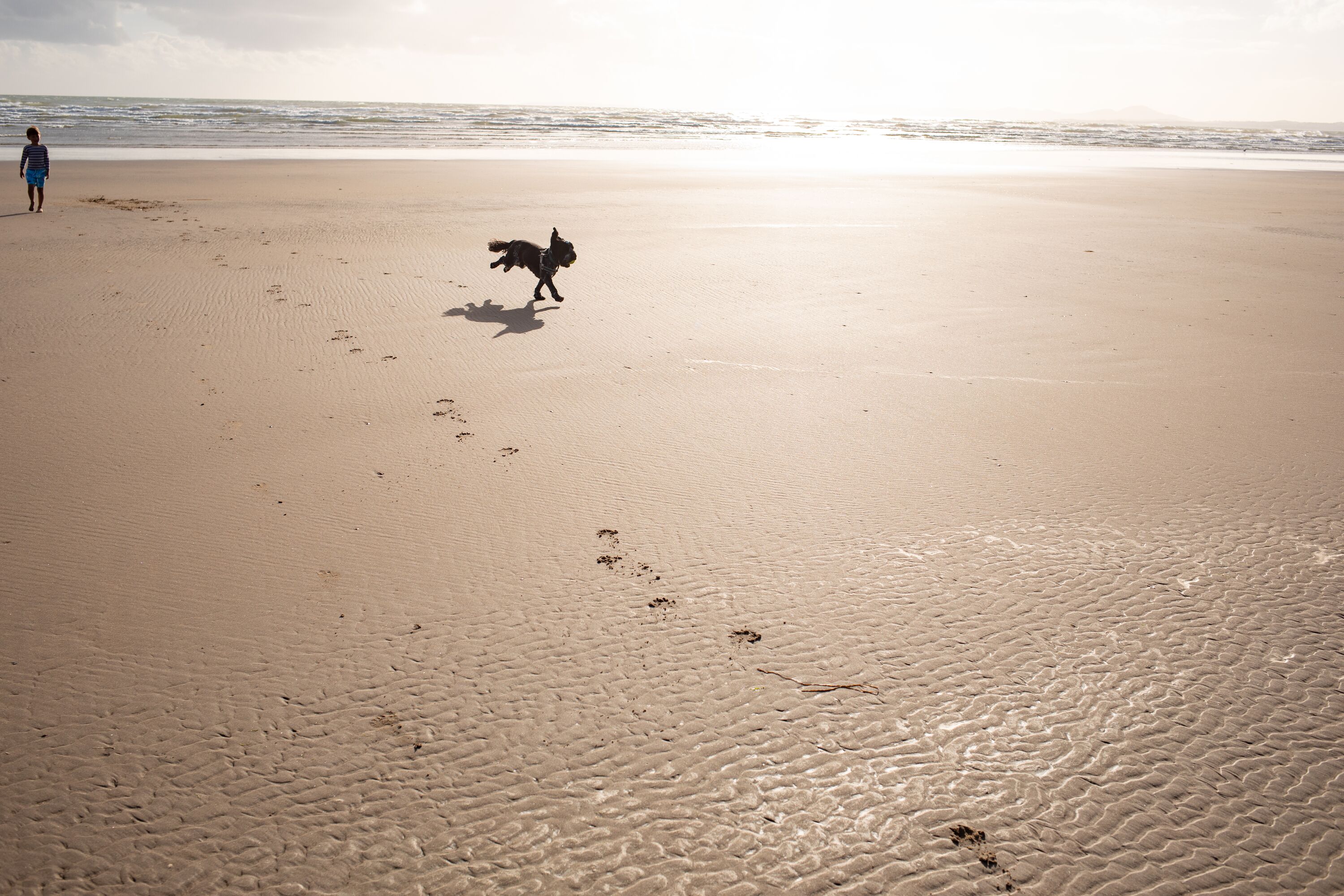 Everyone can enjoy the beach at Hafan y Mor.
