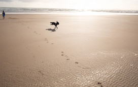 Everyone can enjoy the beach at Hafan y Mor.