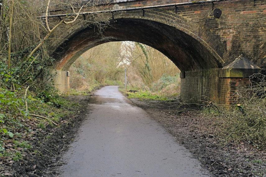 The Cuckoo Trail