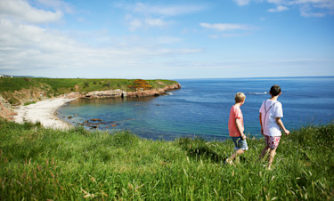 Beautiful coastal walks at Berwick