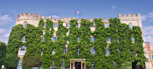 The Museum of Somerset