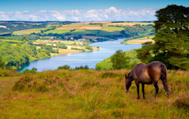 Places to visit in Yorkshire