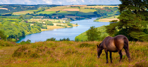 Places to visit in Yorkshire