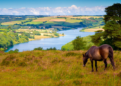 Places to visit in Yorkshire