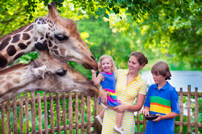 Best places to visit for babies and toddlers in Norfolk