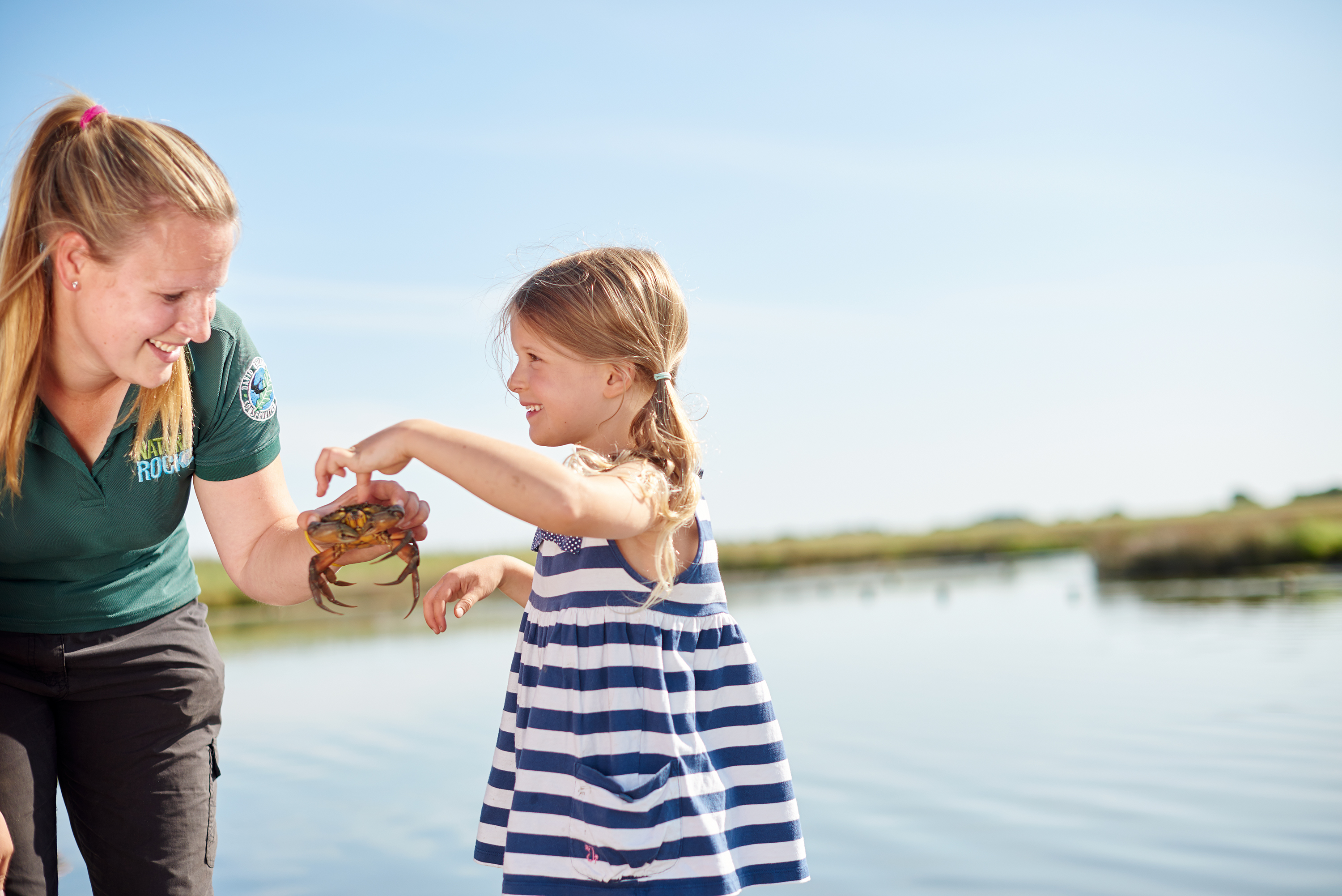 Pond dipping