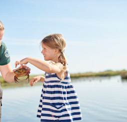 Pond dipping