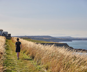 Blue Dolphin, Yorkshire