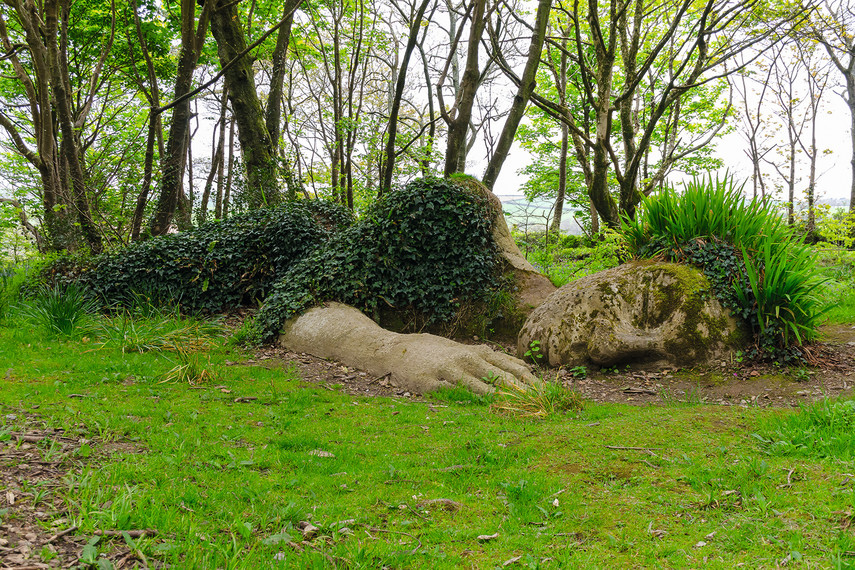 The Lost Gardens of Heligan 