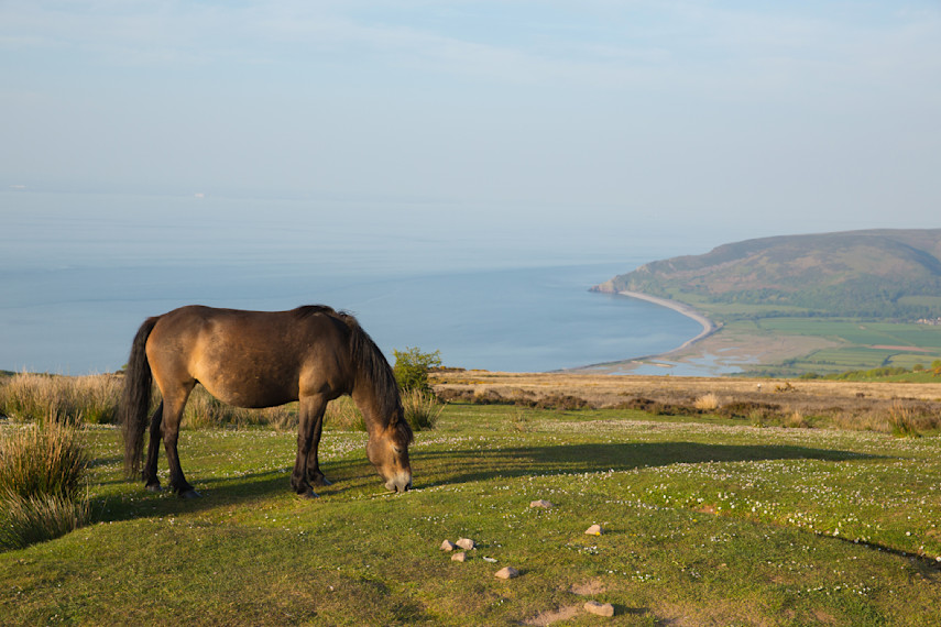 Porlock Weir circular walking route