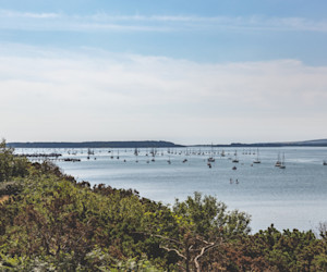 Rockley Park, Dorset