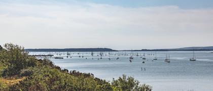 Rockley Park, Dorset