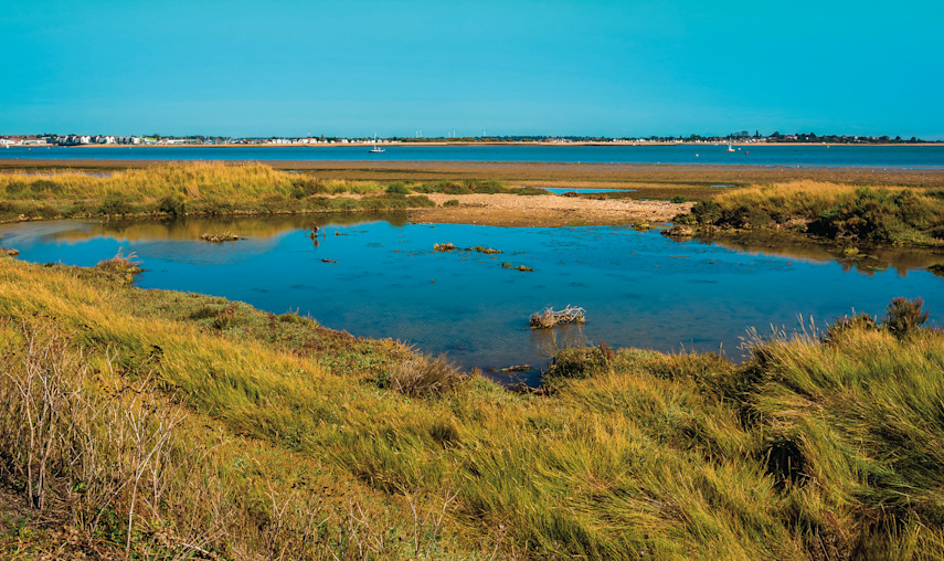 Whitehouse Beach, Alresford
