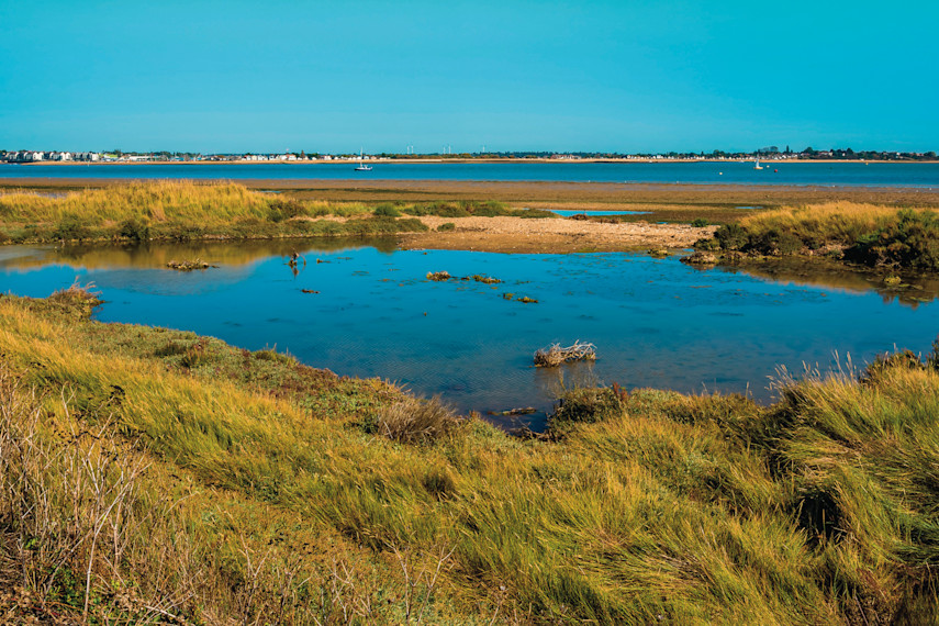 6. Whitehouse Beach, Alresford