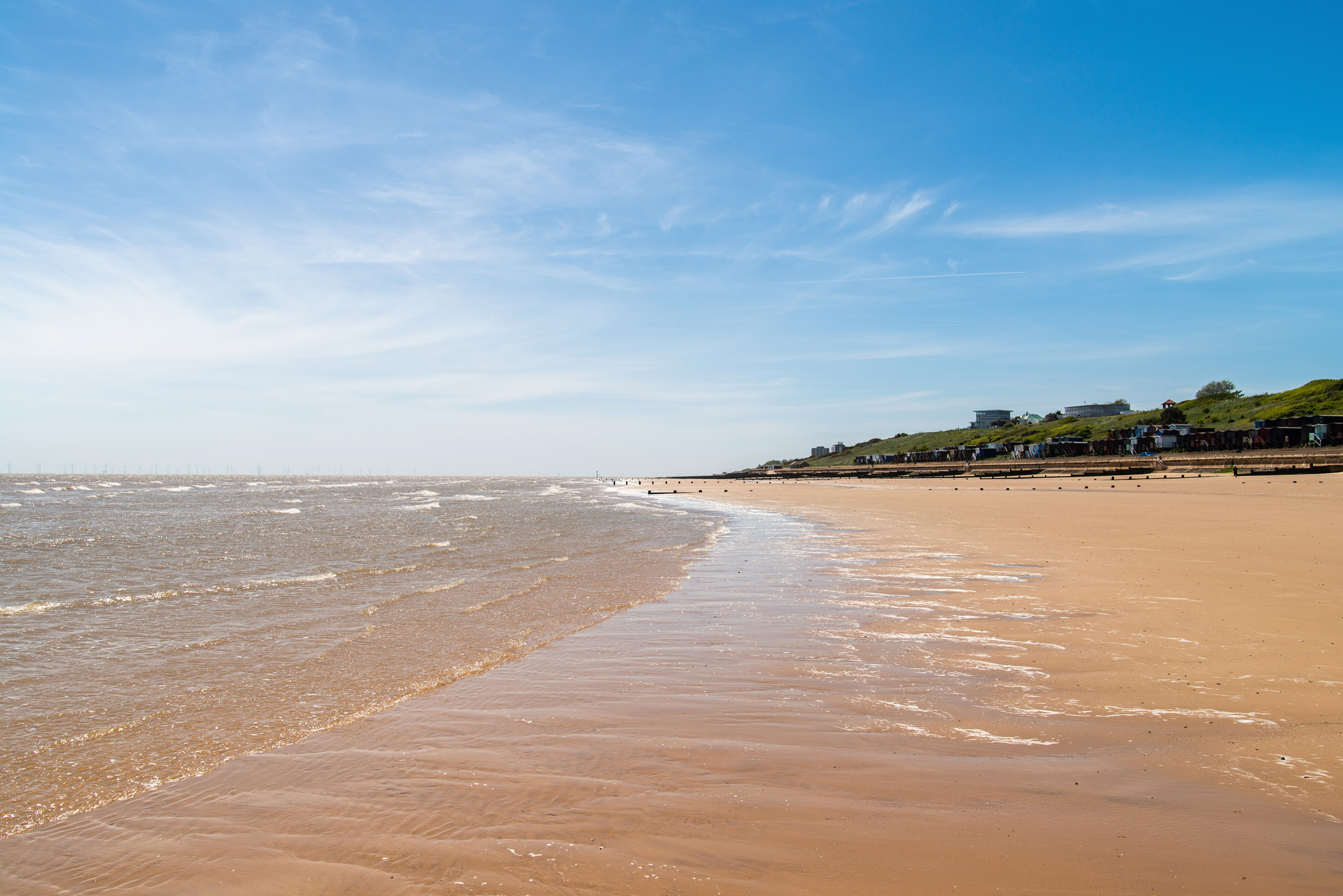 does clacton beach allow dogs