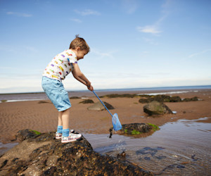 Rock pooling at the beach opposite Seton Sands