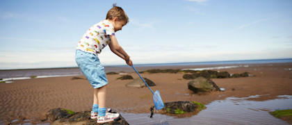 Rock pooling at the beach opposite Seton Sands