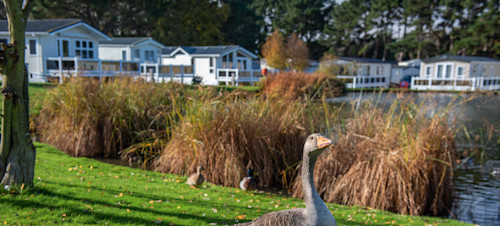 Wild Duck Holiday Park, Norfolk