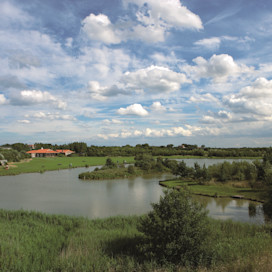Far Grange Park View