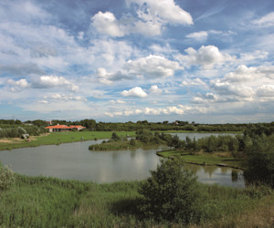 Far Grange Park View