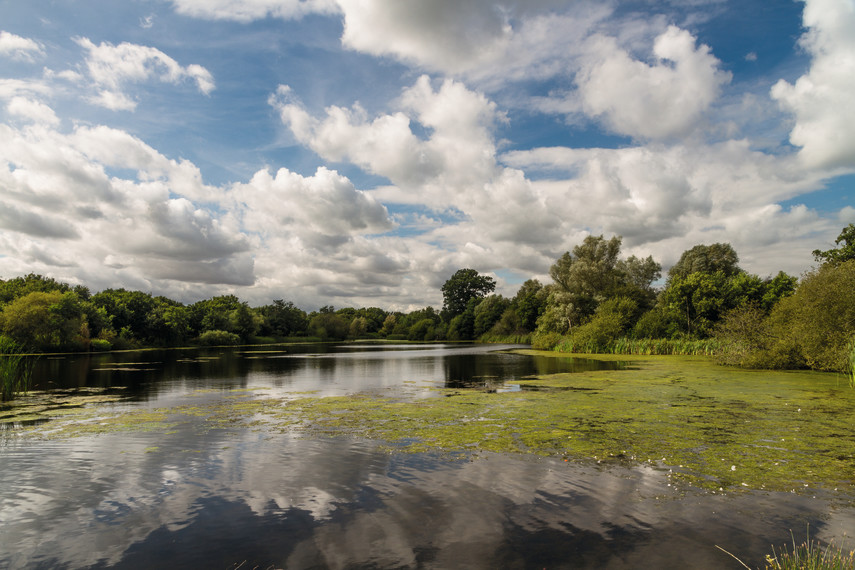 7. Moors Valley Country Park and Forest