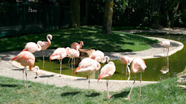 Drusillas Park in Alfriston, Sussex