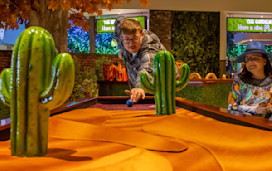 Crazy Pool