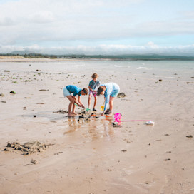 Beach game of rounders