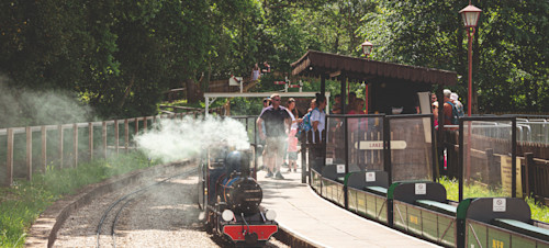 Days out in Dorset