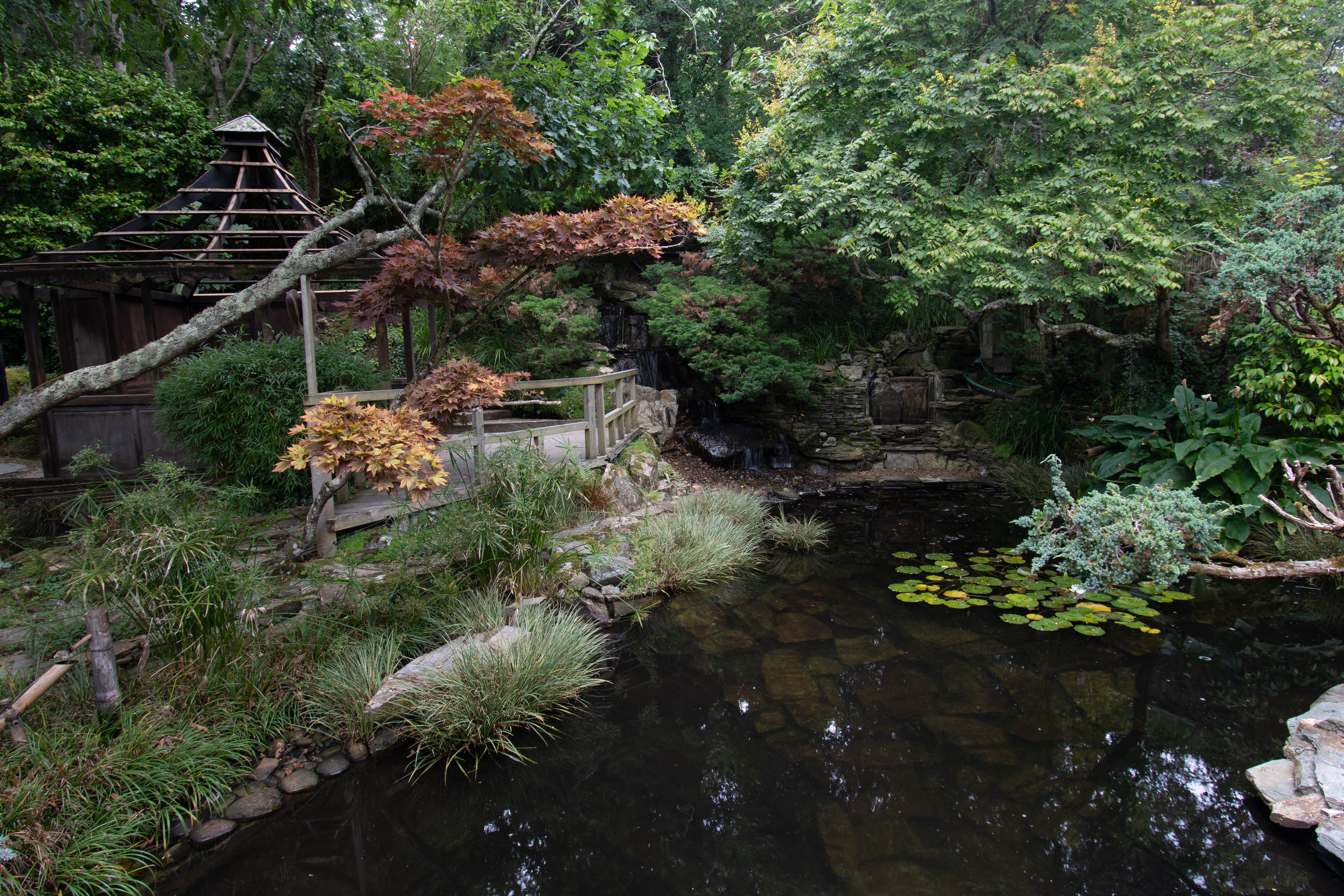 4. The Japanese Garden 