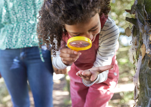 Top 10 nature activities for kids