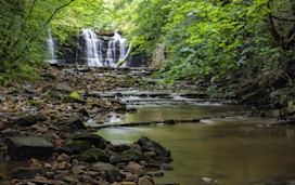 Forest of Bowland