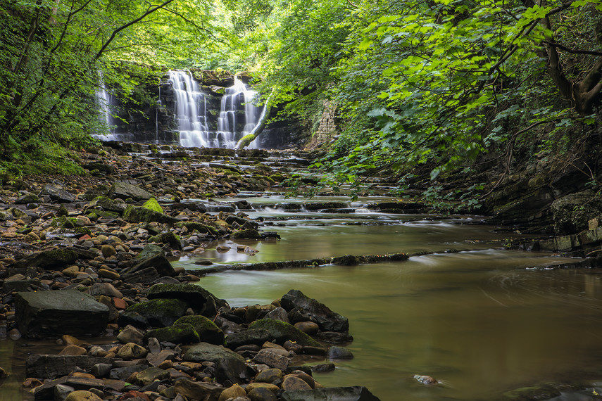 Forest of Bowland 