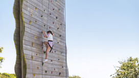 Climbing Wall