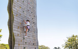 Climbing Wall