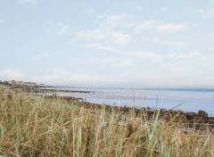 The coast stretching to Port Seton