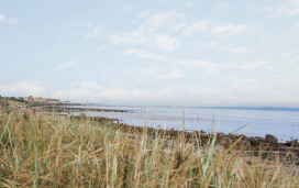 The coast stretching to Port Seton