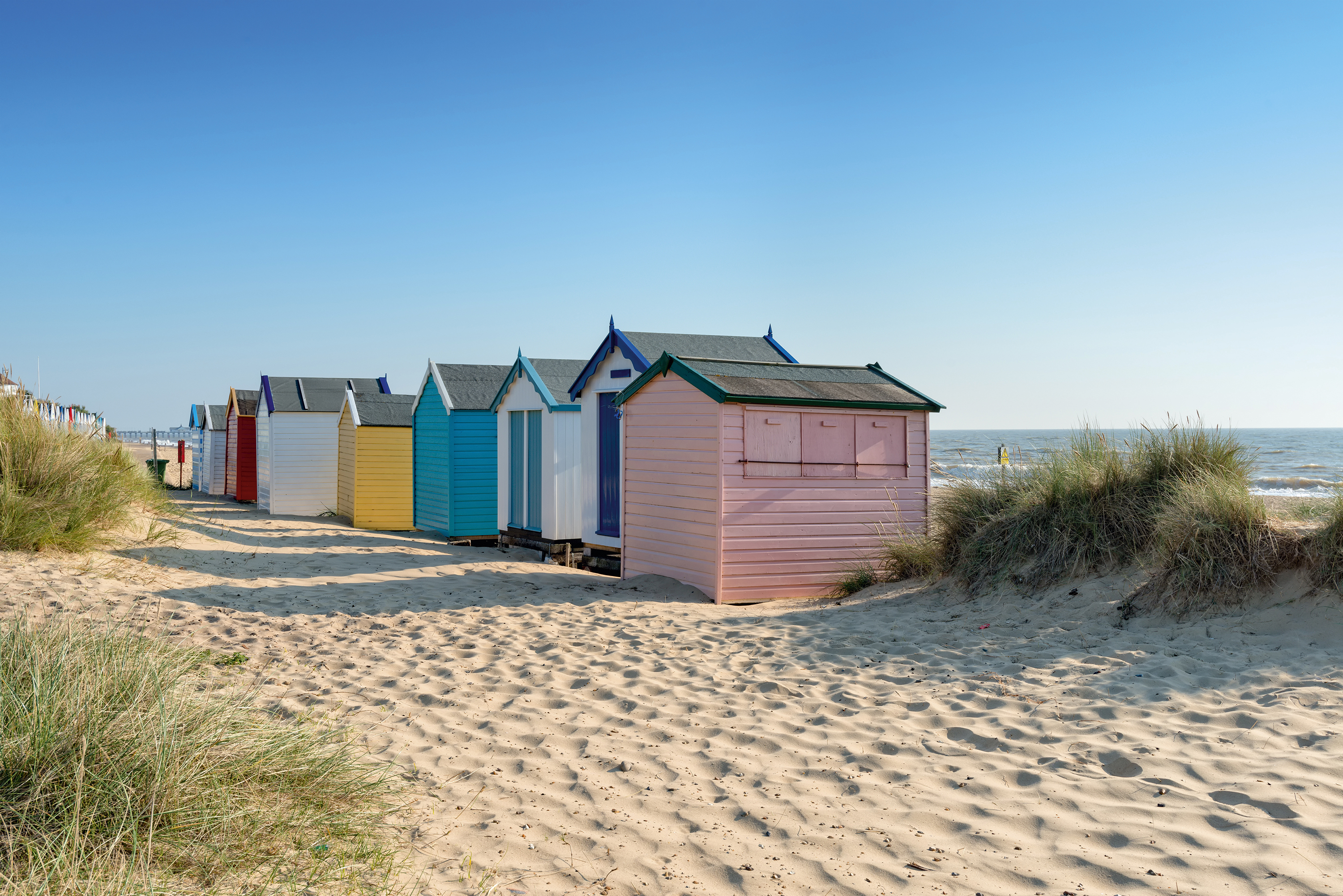 is gorleston beach dog friendly