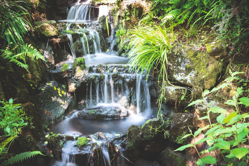 Clyne Gardens, Swansea