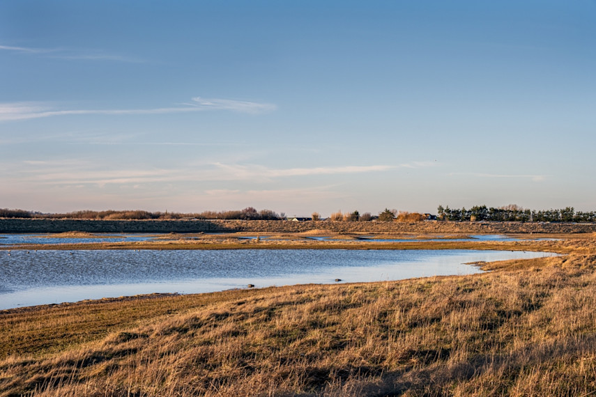 Rye Harbour Nature Reserve
