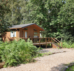 A lodge nestled in woodland at Wild duck Holiday Park in Norfolk.