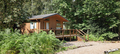 A lodge nestled in woodland at Wild duck Holiday Park in Norfolk.