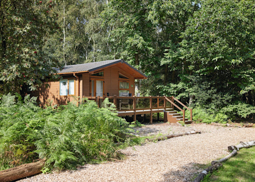 What's new at Wild Duck Holiday Park